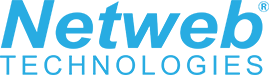 Netweb Technologies share price Equity Research Reports By MNCL